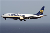 Alfonso Sols - Asociacin Canary Islands Spotting. Haz click para ampliar