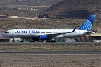 ©Alfonso Solís - Asociación Canary Islands Spotting. Click to see full size photo ©Alfonso Solís - Asociación Canary Islands Spotting. Click to see full size photo