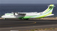 ©Florencio Martín Melián - Lanzarote Spotters. Click to see full size photo ©Florencio Martín Melián - Lanzarote Spotters. Click to see full size photo