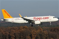 Daniel Schwinn. Click to see full size photo