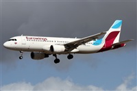 �Alfonso Sol�s - Asociaci�n Canary Islands Spotting. Click to see full size photo