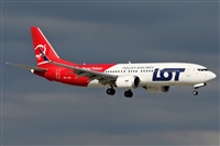 �Sergio Gonz�lez. Click to see full size photo