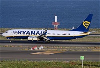 ©Alejandro H.L - Gran Canaria Spotters. Click to see full size photo ©Alejandro H.L - Gran Canaria Spotters. Click to see full size photo