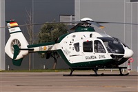 �Sergio Cambronero - Asociaci�n AIRE. Click to see full size photo