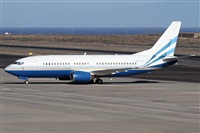 ©Alfonso Solís - Asociación Canary Islands Spotting. Click to see full size photo ©Alfonso Solís - Asociación Canary Islands Spotting. Click to see full size photo