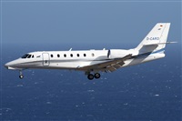 �Alfonso Sol�s - Asociaci�n Canary Islands Spotting. Click to see full size photo
