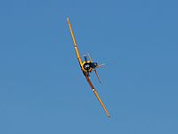 Ciro Perez. Click to see full size photo