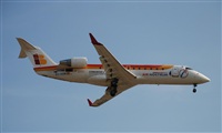 Rubn Gil - Noisy Spotters. Click to see full size photo