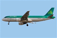 Agustin Delgado Ramos-  Canary Islands Spotting -. Click to see full size photo