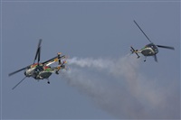 Javier Pedreira (Wicho). Click to see full size photo