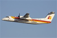 Jos Miguel Bernases - Noisy Spotters. Click to see full size photo
