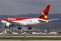 Jos Miguel Bernases - Noisy Spotters. Click to see full size photo