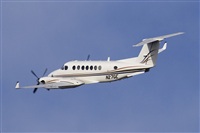 Jos Miguel Bernases - Noisy Spotters. Click to see full size photo
