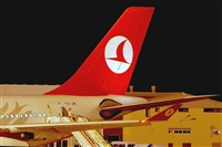 Miguel A. gueda Rguez.  (CANARY ISLANDS SPOTTING). Click to see full size photo