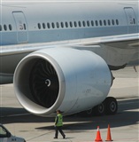 Rubn Gil - Noisy Spotters. Click to see full size photo
