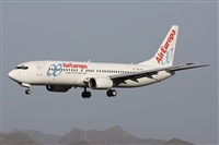 Alfonso Sols - Asociacin Canary Islands Spotting. Click to see full size photo