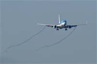 Manuel Noisy Spotters. Click to see full size photo