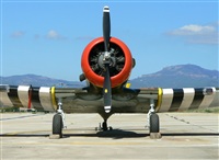 Jordi Rull Dalmau.Spotters BCN-El Prat. Click to see full size photo
