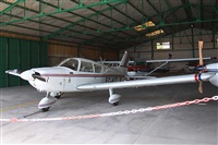 Alfonso Sols - Asociacin Canary Islands Spotting. Haz click para ampliar