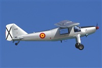 H.volar. Click to see full size photo
