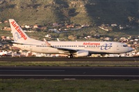 Javier de la Cruz - CANARY ISLANDS SPOTTING. Click to see full size photo