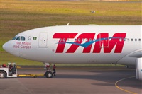 Fabio Duarte - Manaus Spotting Team. Click to see full size photo