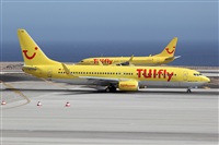Javier de la Cruz - CANARY ISLANDS SPOTTING. Click to see full size photo
