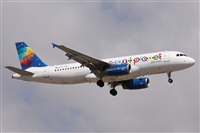 Alfonso Sols - Asociacin Canary Islands Spotting. Click to see full size photo