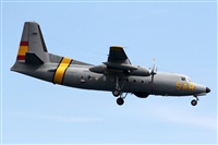 Adrin Alonso Lemes - Lanzarote Spotters. Click to see full size photo