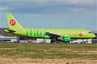 Luciano Fumero( freedom spotter)canary island spotting. Click to see full size photo