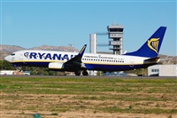 ©Luciano Fumero( freedom spotter)canary island spotting. Click to see full size photo ©Luciano Fumero( freedom spotter)canary island spotting. Click to see full size photo