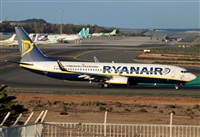 ©Alejandro H.L - Gran Canaria Spotters. Click to see full size photo ©Alejandro H.L - Gran Canaria Spotters. Click to see full size photo