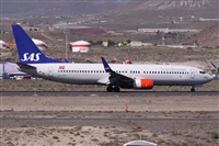 Alfonso Sols - Asociacin Canary Islands Spotting. Click to see full size photo