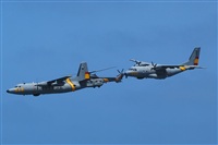 Toms Asensio - GranCanariaSpotters. Click to see full size photo