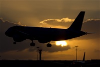 Rui Alves - Madeira Spotters. Click to see full size photo