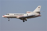Miguel Alia - Noisy Spotters. Click to see full size photo