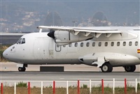 Miguel Alia - Noisy Spotters. Click to see full size photo