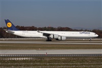 Miguel Alia - Noisy Spotters. Click to see full size photo