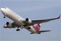 Miguel Alia - Noisy Spotters. Click to see full size photo