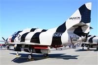 Ana L@dy Spotter. Click to see full size photo