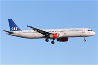 Miguel Alia - Noisy Spotters. Click to see full size photo