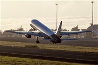 Javier de la Cruz - CANARY ISLANDS SPOTTING. Click to see full size photo