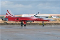 ©Adolfo Bento - Gran Canaria Spotters. Click to see full size photo ©Adolfo Bento - Gran Canaria Spotters. Click to see full size photo