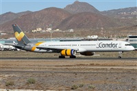 ©Alfonso Solís - Asociación Canary Islands Spotting. Click to see full size photo ©Alfonso Solís - Asociación Canary Islands Spotting. Click to see full size photo