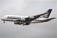 Miguel Martin Cordeiro - Iberian Spotters. Click to see full size photo