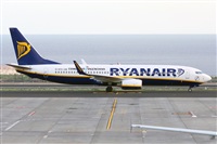 ©Nacho Rodriguez - Canary Islands Spotting. Click to see full size photo ©Nacho Rodriguez - Canary Islands Spotting. Click to see full size photo