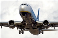 Saimon J Rodriguez   -   Canary Islands Spotting. Click to see full size photo