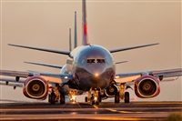 Javier de la Cruz - CANARY ISLANDS SPOTTING. Click to see full size photo
