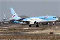 ©Alfonso Solís - Asociación Canary Islands Spotting. Click to see full size photo ©Alfonso Solís - Asociación Canary Islands Spotting. Click to see full size photo