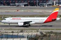 ©Alfonso Solís - Asociación Canary Islands Spotting. Click to see full size photo ©Alfonso Solís - Asociación Canary Islands Spotting. Click to see full size photo
